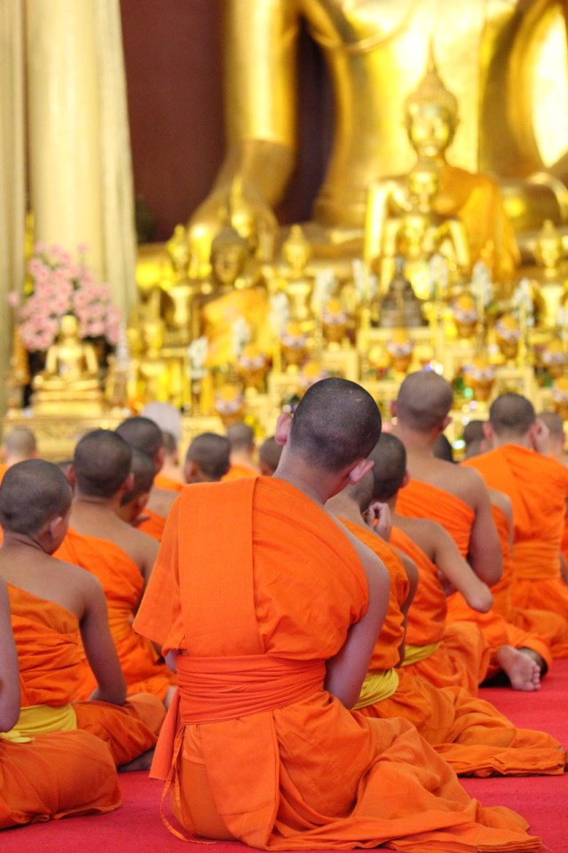 une mer orange de jeunes moines