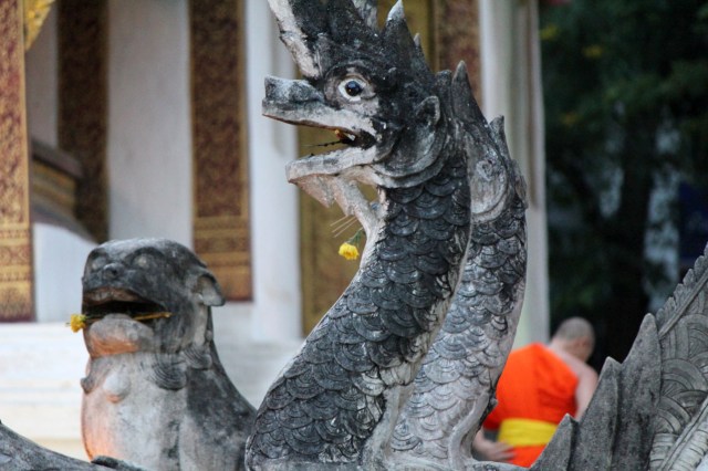 les ceintures jaunes se dispersent