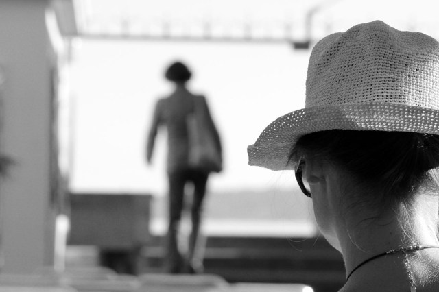 une mince ligne de poils ambrés